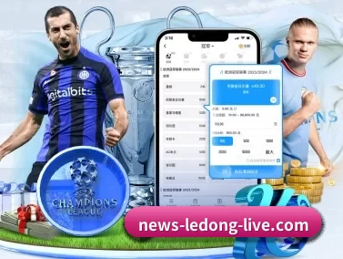 乐动足球官网 APP 界面